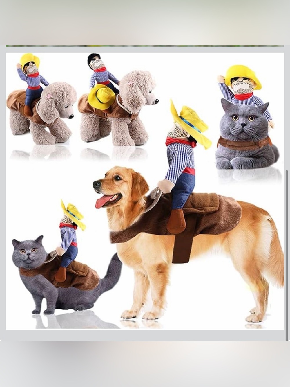 NWT! Costume XL Dog Cowboy | Funny Pet Halloween Costume | Rider Outfit